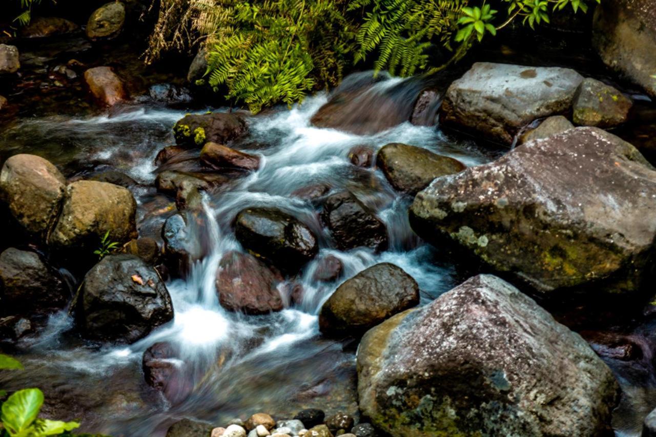 فندق ريزدينسيا ديل هامور Sorsogon المظهر الخارجي الصورة