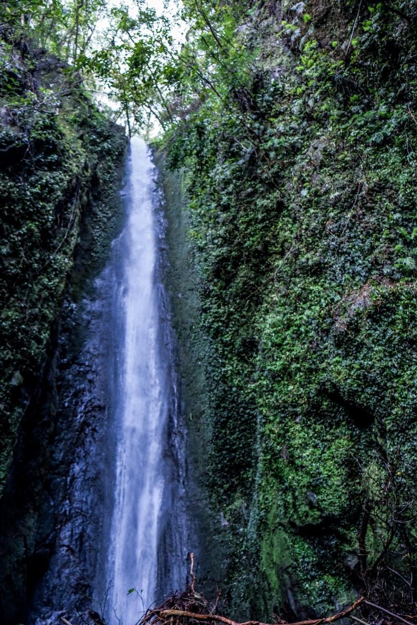 فندق ريزدينسيا ديل هامور Sorsogon المظهر الخارجي الصورة